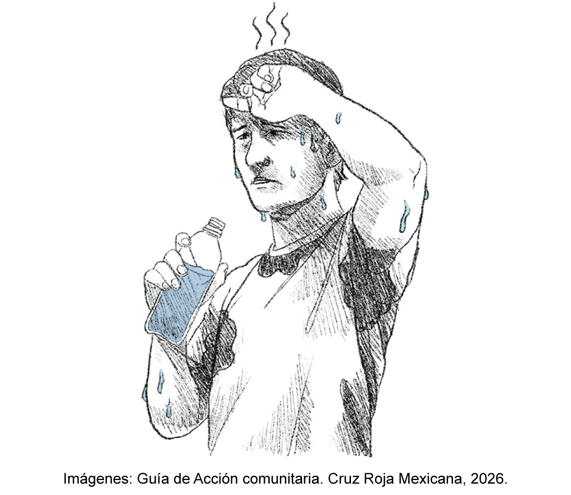 Imagen galería 1